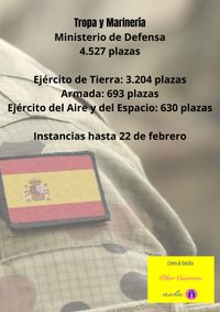 CONVOCATORIA TROPA Y MARINERIA PROFESIONAL